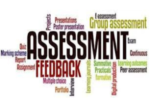 Assessment and Feedback
